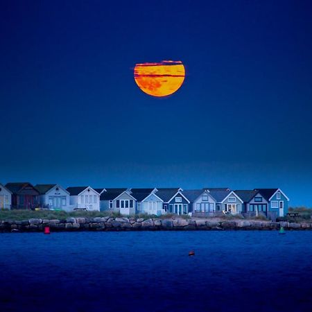 Bub Lane Cottage クライストチャーチ エクステリア 写真